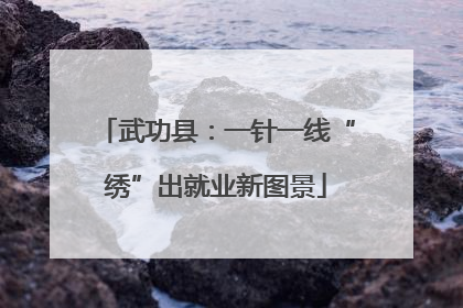 武功县：一针一线“绣”出就业新图景